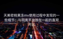天美密桃果冻mv使用过程中发现的一些细节：与同类平台放在一起的直观对比