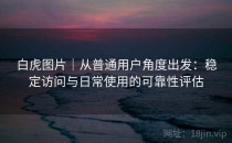 白虎图片｜从普通用户角度出发：稳定访问与日常使用的可靠性评估