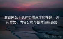 蘑菇网站｜站在实用角度的整理：访问方式、内容分布与整体使用感受