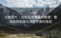 白虎图片｜站在实用角度的整理：整体使用氛围与浏览节奏的感受