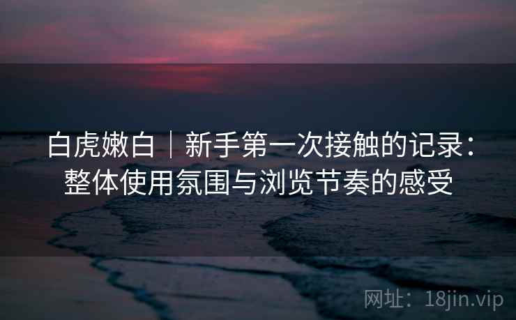 白虎嫩白|新手第一次接触的记录:整体使用氛围与浏览节奏的感受 第1张 白虎嫩白|新手第一次接触的记录:整体使用氛围与浏览节奏的感受 第1张