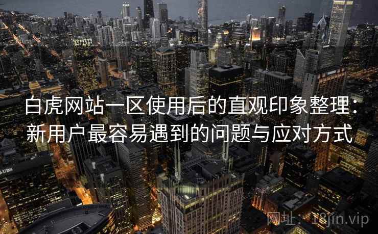 白虎网站一区使用后的直观印象整理：新用户最容易遇到的问题与应对方式  第1张