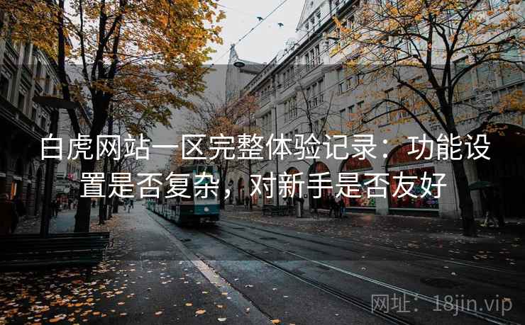 白虎网站一区完整体验记录：功能设置是否复杂，对新手是否友好  第2张