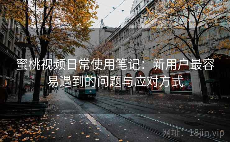 蜜桃视频日常使用笔记：新用户最容易遇到的问题与应对方式  第1张
