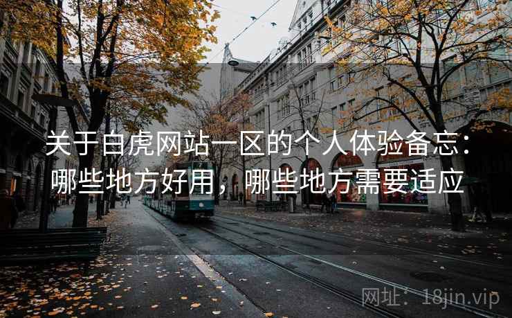 关于白虎网站一区的个人体验备忘：哪些地方好用，哪些地方需要适应  第2张