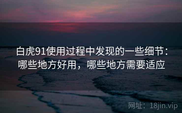白虎91使用过程中发现的一些细节：哪些地方好用，哪些地方需要适应  第2张