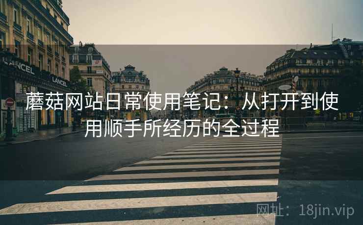 蘑菇网站日常使用笔记：从打开到使用顺手所经历的全过程  第2张