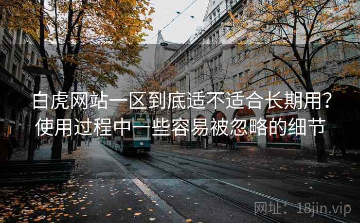 白虎网站一区到底适不适合长期用？使用过程中一些容易被忽略的细节  第1张