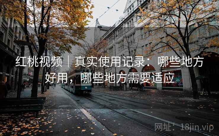 红桃视频｜真实使用记录：哪些地方好用，哪些地方需要适应  第2张