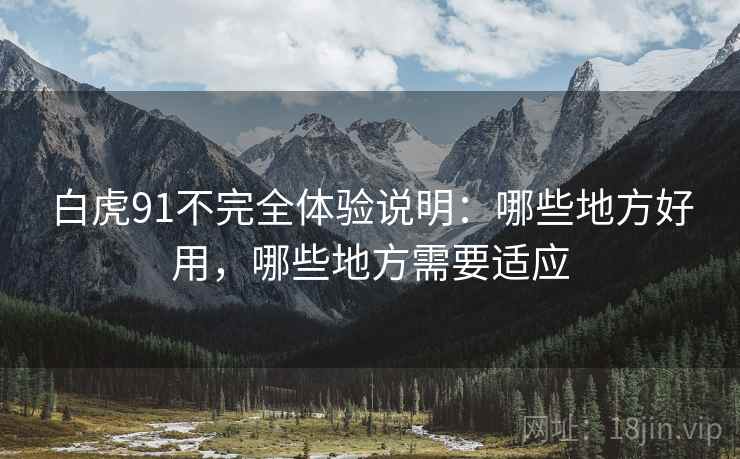 白虎91不完全体验说明:哪些地方好用,哪些地方需要适应 第2张 白虎91不完全体验说明:哪些地方好用,哪些地方需要适应 第2张