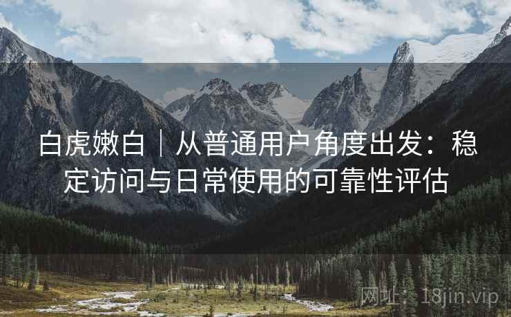 白虎嫩白｜从普通用户角度出发：稳定访问与日常使用的可靠性评估  第1张