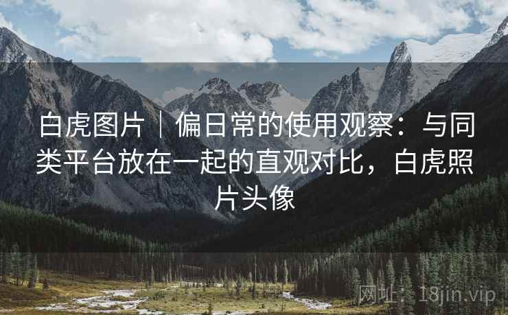 白虎图片|偏日常的使用观察:与同类平台放在一起的直观对比,白虎照片头像 第1张 白虎图片|偏日常的使用观察:与同类平台放在一起的直观对比,白虎照片头像 第1张